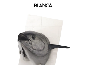 blancanyc.com