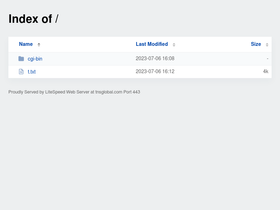 'tnsglobal.com' screenshot