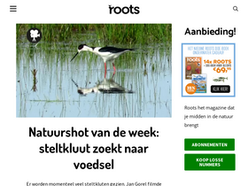 'rootsmagazine.nl' screenshot