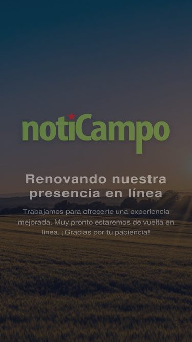 noticampo.com