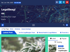 'legalbeagles.info' screenshot
