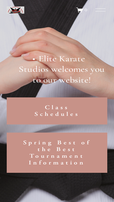 elitekaratestudios.com