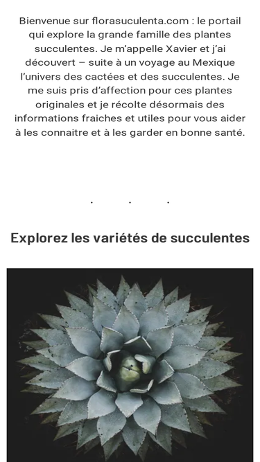 florasuculenta.com