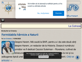 'cristoiublog.ro' screenshot