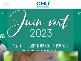 'ifcs.chu-rouen.fr' screenshot