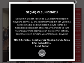 'tes-is.org.tr' screenshot
