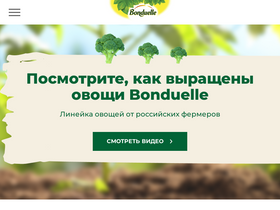 'bonduelle.ru' screenshot