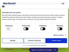 'rinoebastel.com' screenshot