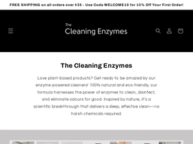 The Cleaning Enzymes website screenshot