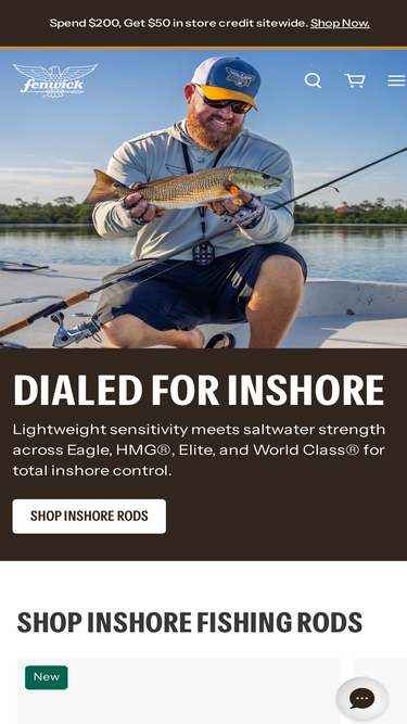 fenwickfishing.com