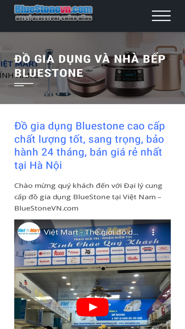 bluestonevn.com
