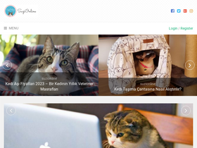 'suzionline.com' screenshot