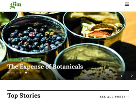 gin-mag.com