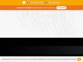 'intotheminds.com' screenshot