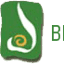 bengaltea.com