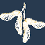 jacksonhouse.com