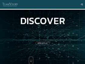 'teamvizory.com' screenshot