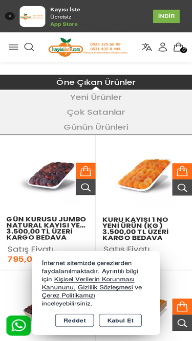 kayisiiste.com