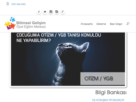 'antalyaozelegitim.com' screenshot