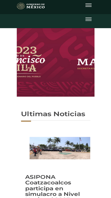 puertocoatzacoalcos.com.mx