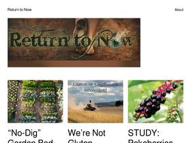 'returntonow.net' screenshot