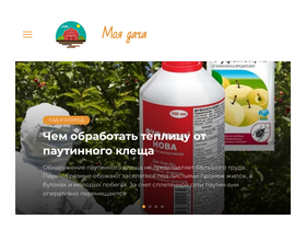 'biznessrussia.ru' screenshot