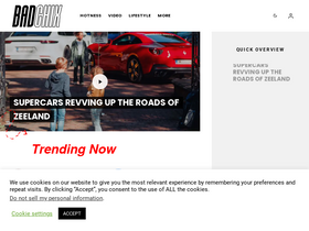 'badchix.com' screenshot