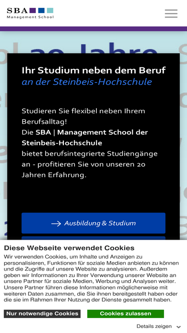 steinbeis-academy.de