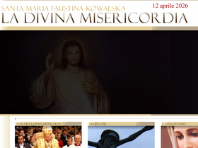 'festadelladivinamisericordia.com' screenshot