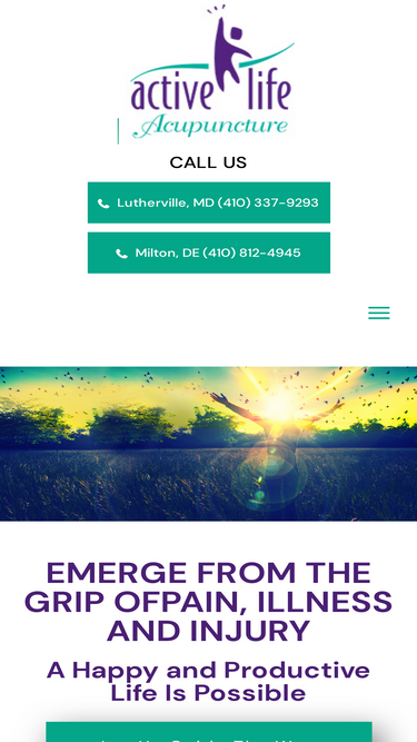 activelifeacupuncture.com