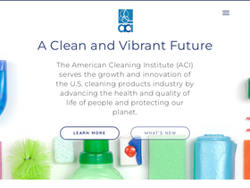'cleaninginstitute.org' screenshot