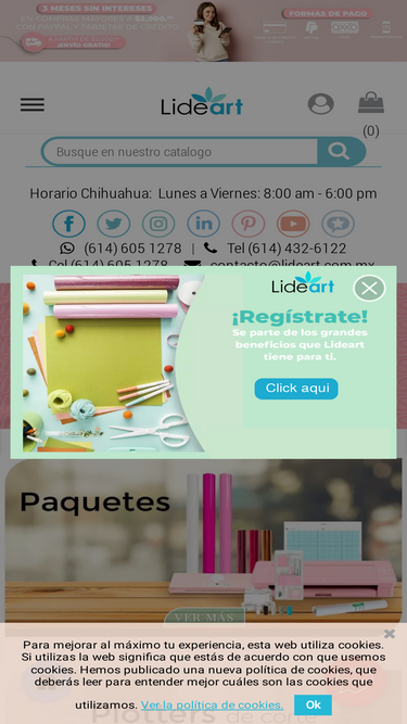 lideart.com.mx
