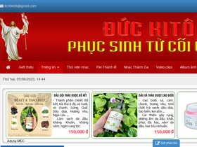 'phungvu.net' screenshot