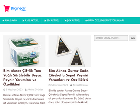 'bilginedir.com' screenshot