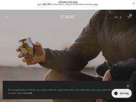 'norlanglass.com' screenshot