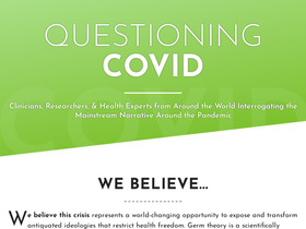 questioningcovid.com