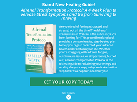 'thyroidpharmacist.com' screenshot