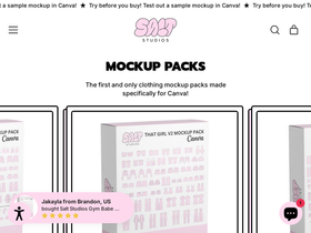 Salt Studios website screenshot