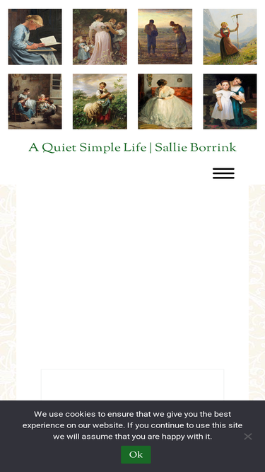 sallieborrink.com