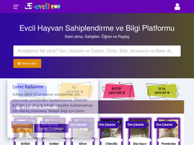 'e-evcil.com' screenshot