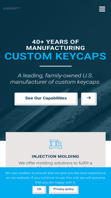solutionsinplastic.com
