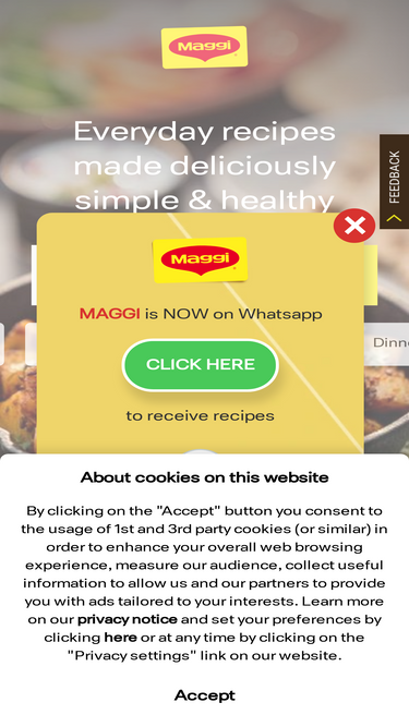 maggi.in