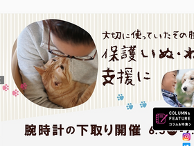 'tictac-web.com' screenshot