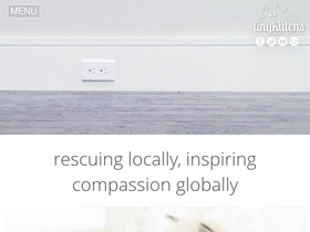 'tinykittens.com' screenshot