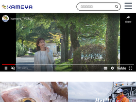 'kameya-fishing.com' screenshot