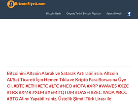 'bitcoinfiyati.com' screenshot