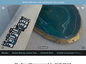 thenewneccessory.com homepage screenshot