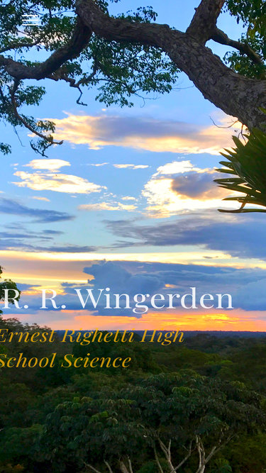 rwingerden.com