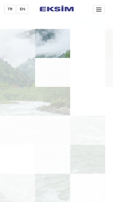 eksim.com.tr