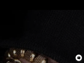 Belle Vie Market website screenshot